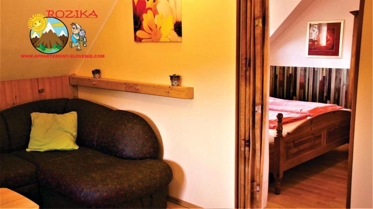Apartment Rozika Словени Градец Екстериор снимка